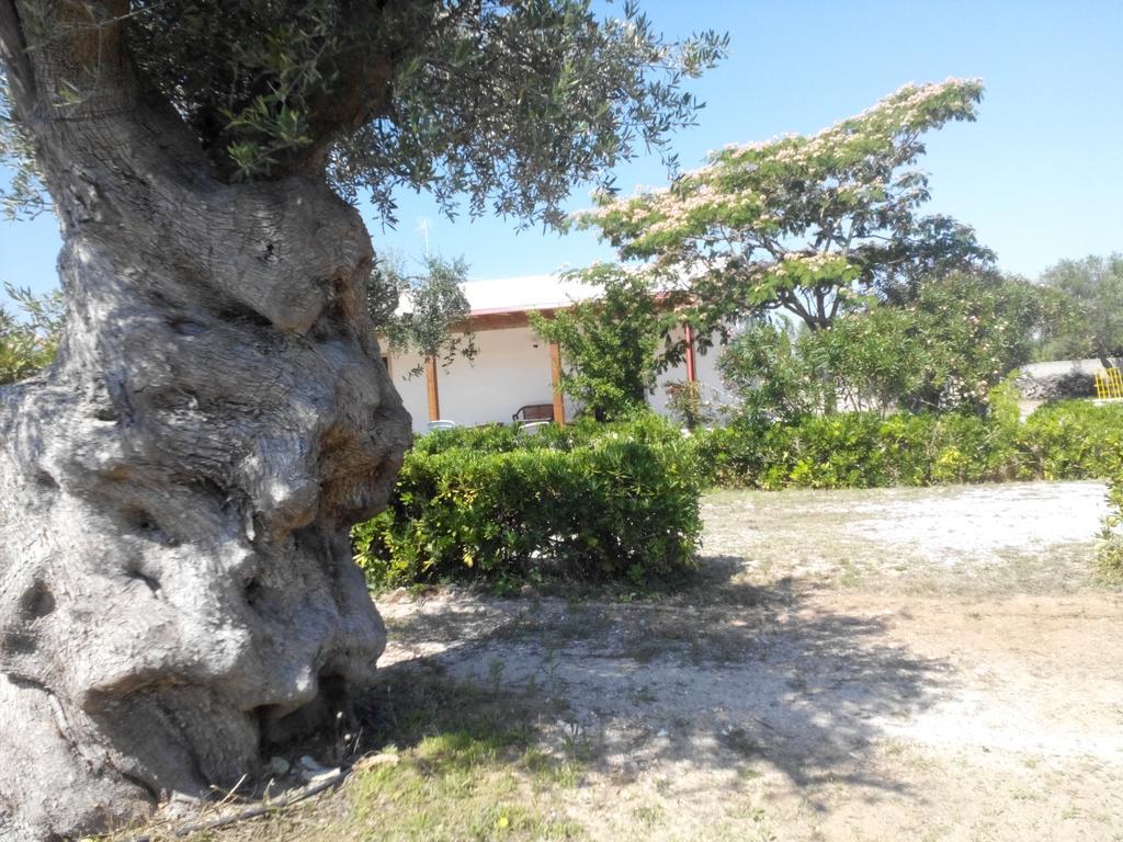 Agriturismo Villa Tommaso Torre dell'Orso Exterior photo